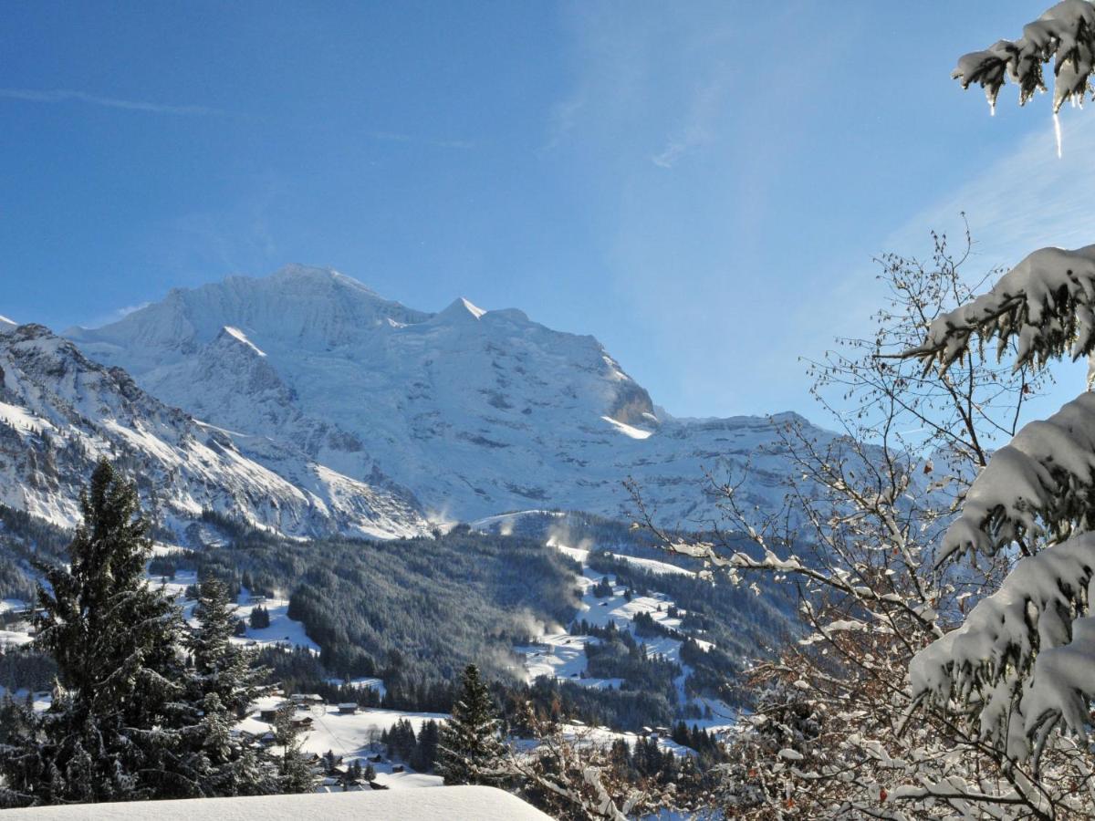 Apartment Residence By Interhome Wengen Extérieur photo